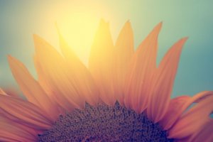 Kan vi byta riktning och börja om från början?