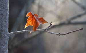 Depression och att lida i det tysta