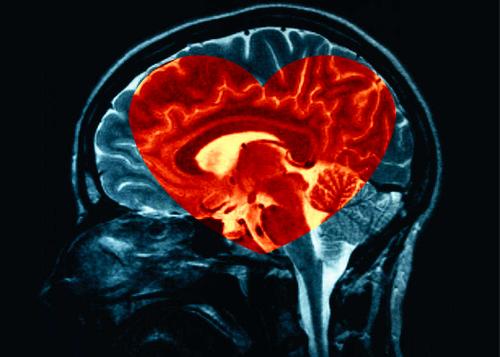 Hjärta, hjärna och intuition