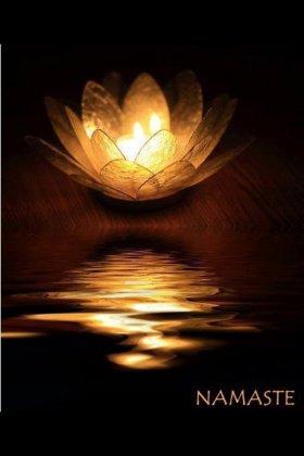 Lotus - Namasté