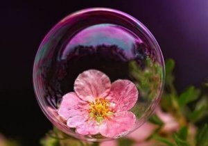 Farorna med en överbeskyddande "säkerhetsbubbla"