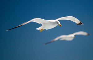 Det är inte du, det är jag...