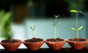 8 tecken på emotionell tillväxt