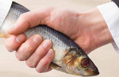 Avslöja falska vänner som inte är vad de verkar