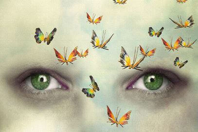 Ögon och fjärilar