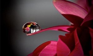 9 saker vi bör komma ihåg om livet