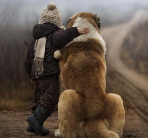 Vi definieras inte av bedrifter, snarare utmaningar