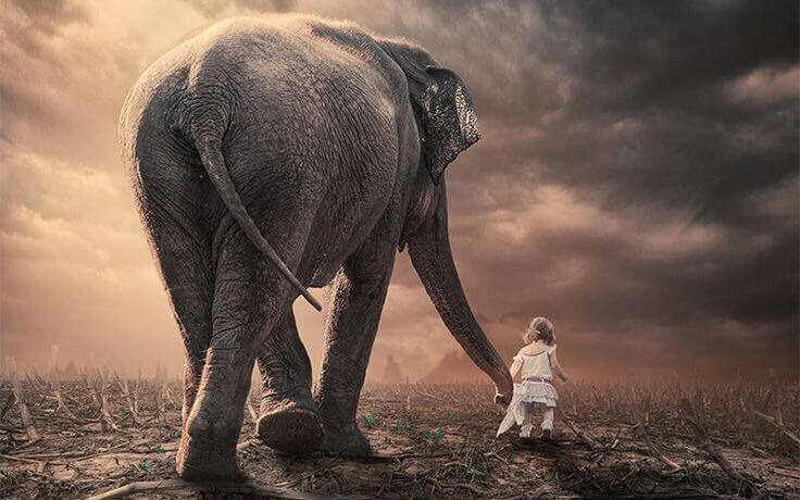 Flicka och elefant