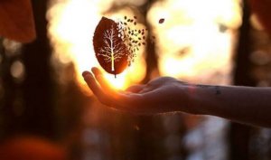 Godheten är en av våra största dygder