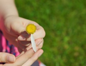 5 nycklar för att skapa bra förhållanden