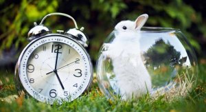 20 produktiva aktiviteter du kan utföra på bara fem minuter