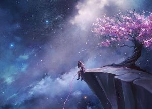 Nattugglor och kärleken till natten