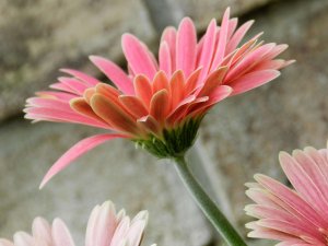 Varför är självmedvetande viktigt?