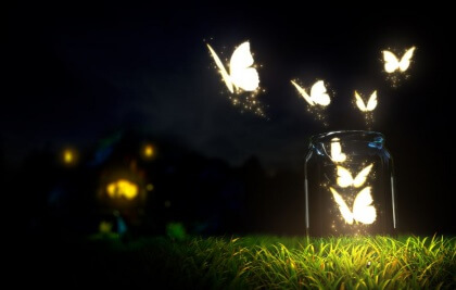 Fjärilar i burk