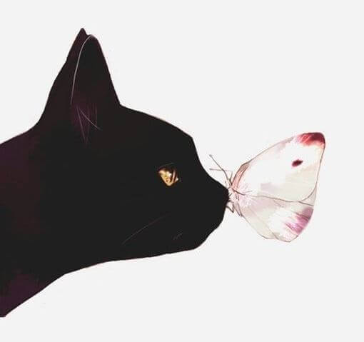 Katt och fjäril