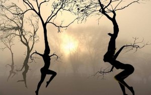 Vad gör livet lyckligare: stabilitet eller förändring?