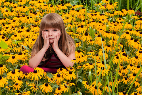 Blommor