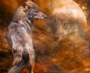 Skönhet är en attityd