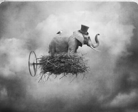 Elefant