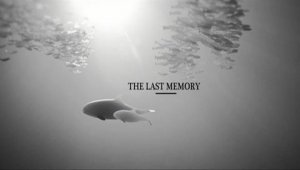 Denna känslosamma kortfilm om havet lämnar ingen oberörd