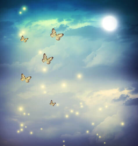 Fjärilar i skyn