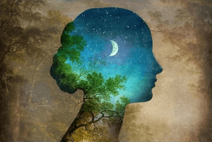 Du är inte dina upplevelser, utan vad du lär dig från dem