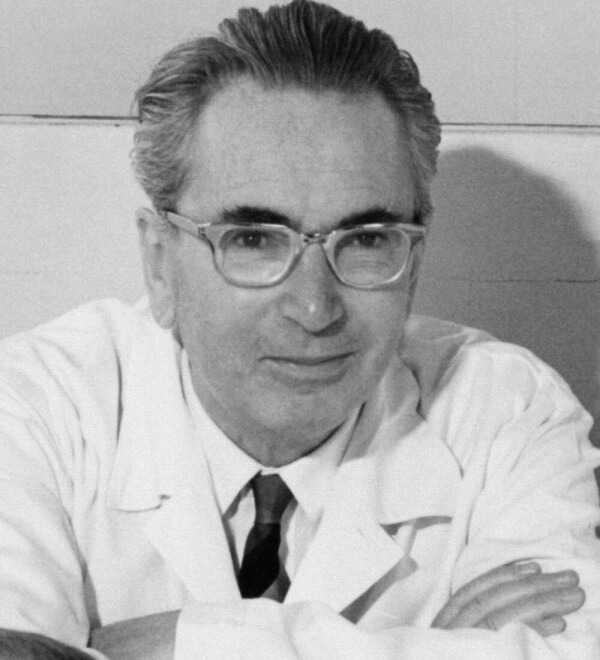10 lärdomar om motgångar från Viktor Frankl