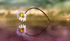 Tiden visar att det som är bra anländer i vilket ögonblick som helst