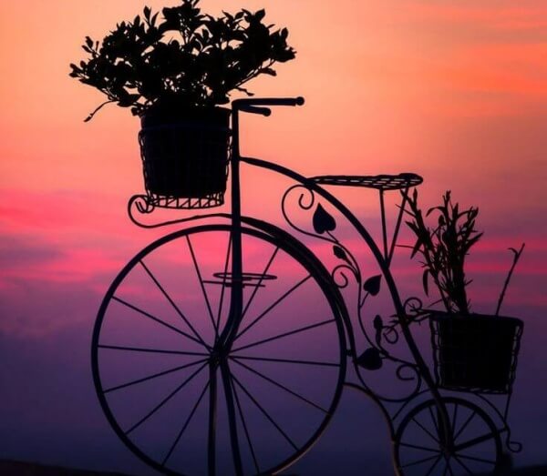 Cykel med växter
