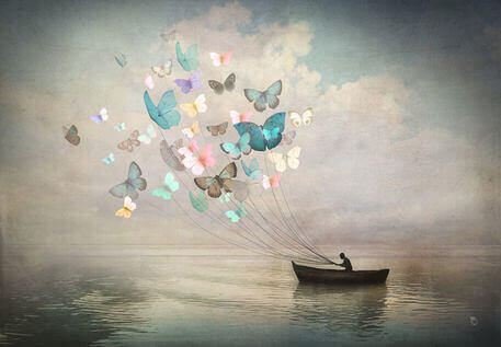 Fjärilar drar båt