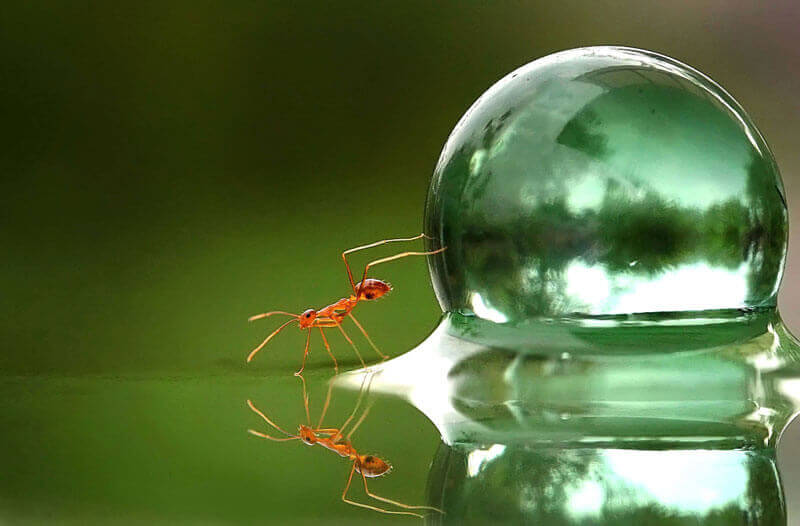 Myra som gör något bra