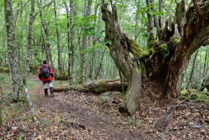 Existerar verkligen tillfälligheter i livet?