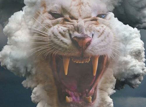 Tiger i moln