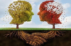 10 typer av psykologer