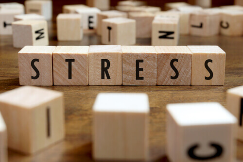Hur stressen påverkar vår hälsa