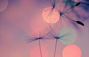 Att finna svar i svåra stunder är terapeutiskt