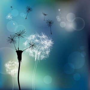 Hur du frigör dig själv från giftiga individer