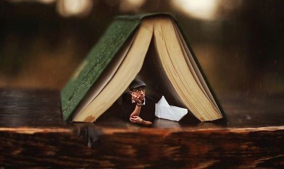 Man under bok som uppvisar Dunning-Kruger-effekten.