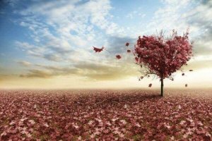 3 reflektioner om kärlek från Erich Fromm