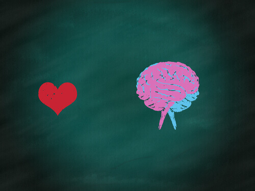 Hjärna eller hjärta