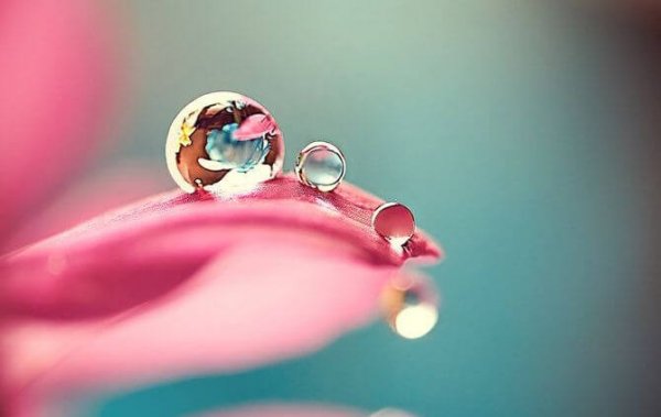 Perfekta daggdroppar som visar sin ofullkomlighet