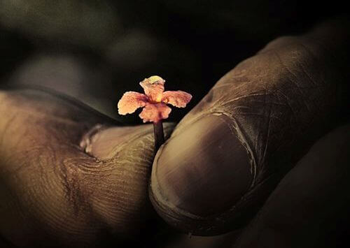 Liten blomma mellan fingrar