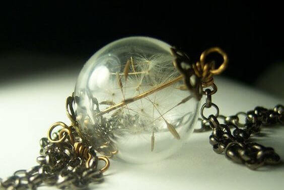 Maskros i glasbubbla