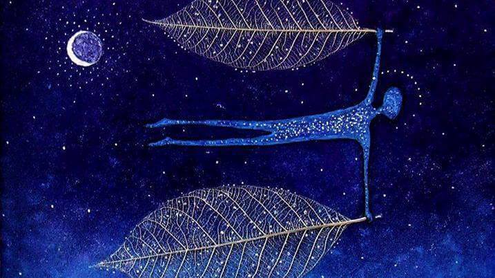 Blad mot stjärnhimmel