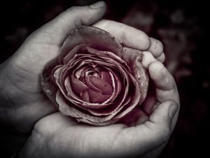 Perfektion som bor i ofullkomlighet