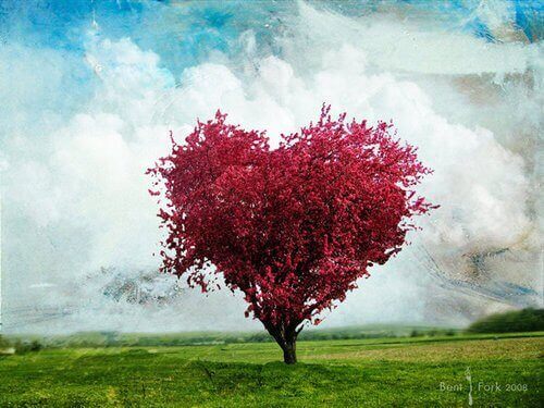 Hjärtformat träd som utstrålar god intention