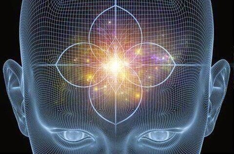 Fokus på tallkottkörteln