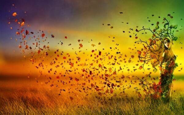 Effekten av vinden på löven