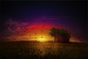 Emotionell marknadsföring: att köpa känslor