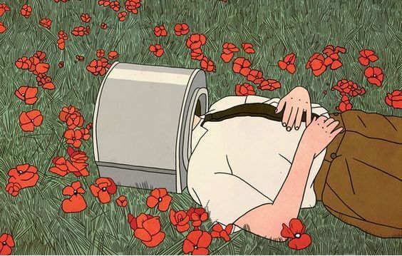 Blommor